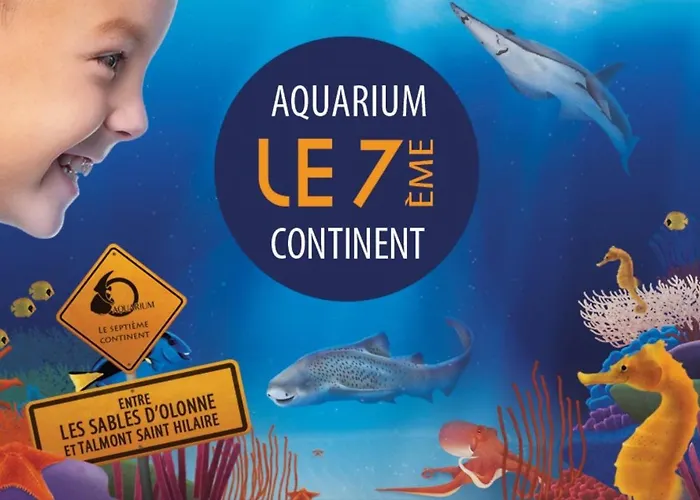 Apartamento 2 Pieces Dans Bord De Aux Sables D'olonne *