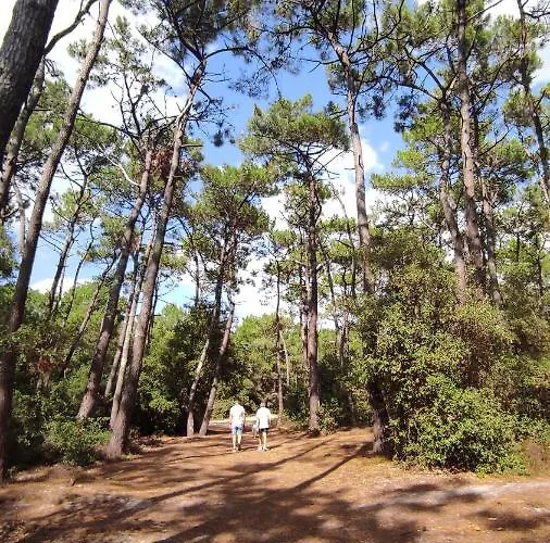 Apartman 2 Pieces Dans Bord De Aux Sables D'olonne