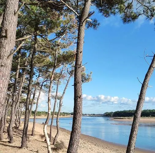 2 Pieces Dans Bord De Aux Sables D'olonne Apartman Les Sables-dʼOlonne