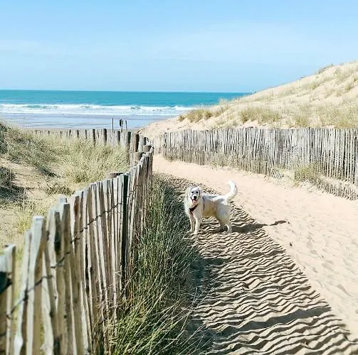 Apartman 2 Pieces Dans Bord De Aux Sables D'olonne Les Sables-dʼOlonne